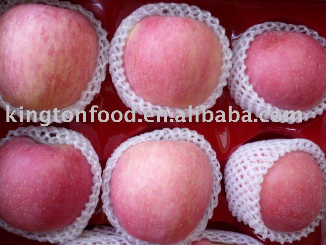 china sweet best quanlity fuji apple