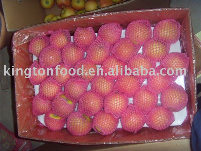 2010 chinese best quanlity fresh fuji apple