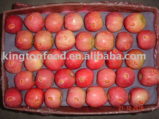2010 chinese best quanlity fuji apple