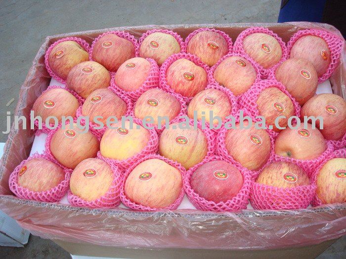 2011 fresh fuji apple