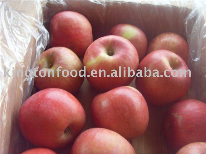 Chinese best quanlity fuji apple