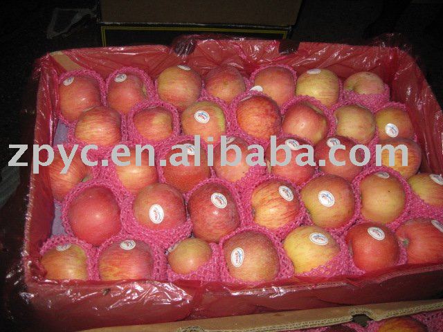 Tasty Fuji Apple