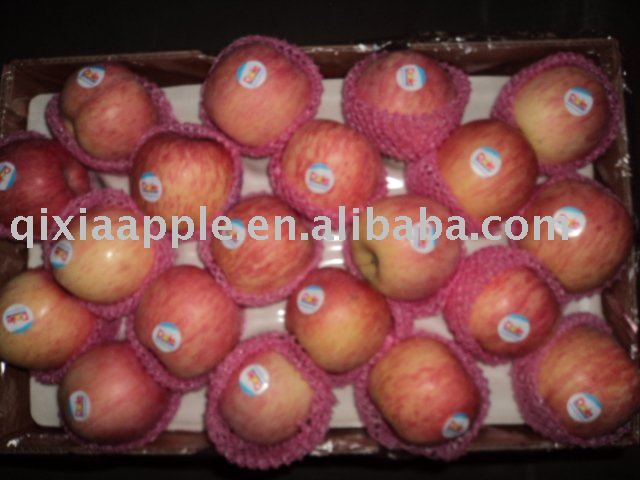 fresh red rose fuji apple