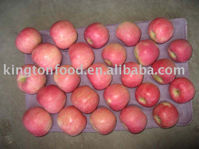 Red Sweet  Fuji  Apple