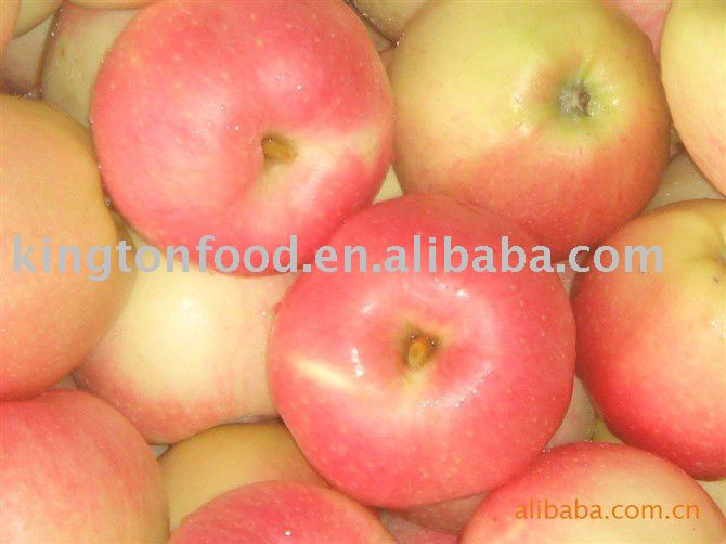 Best Quanlity Red Fuji Apple