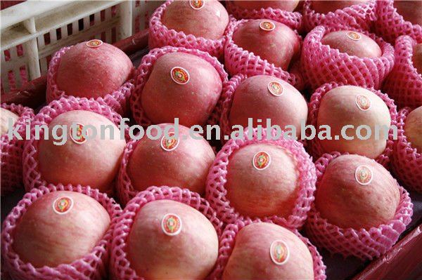 best quanlity Fresh Fuji Apple