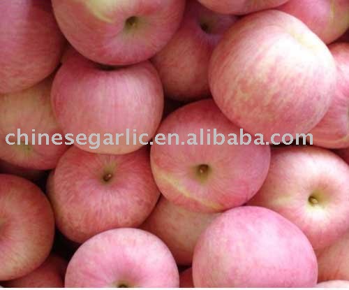 Chinese red fresh fuji apple of top quality and competitive price - 138-163#