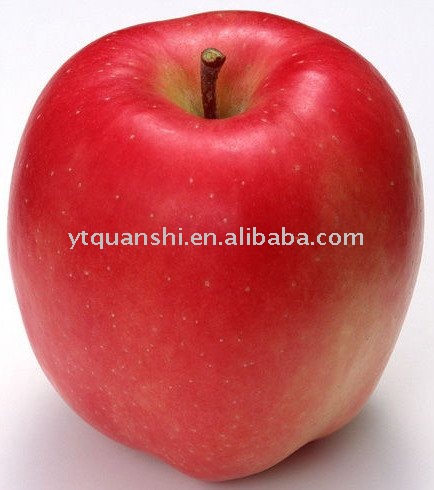 Red Fuji Apple For Best Price