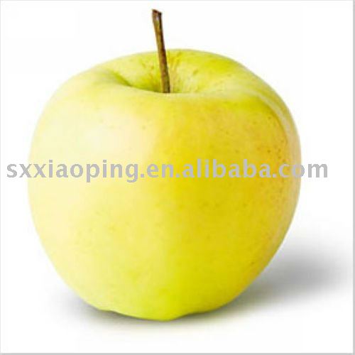 fresh Ginger Gold apple