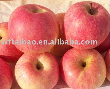 2010 Chinese Fuji Apple