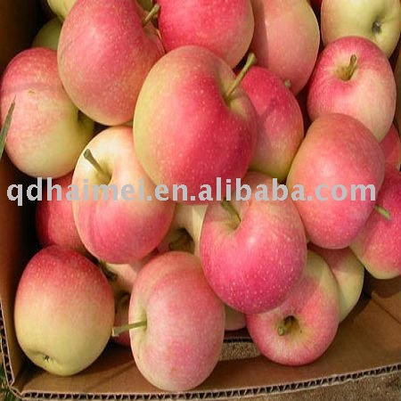 2011 new crop golden apple