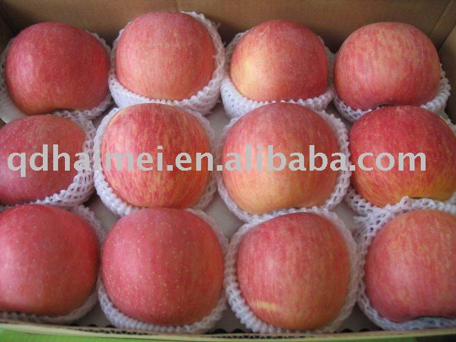 fresh red gala apple with high quality
