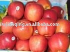 Fuji apple price