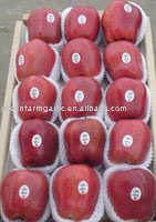 China Red Huaniu Apple