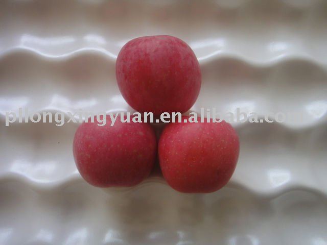 DELICIOUS  TOP   APPLE 