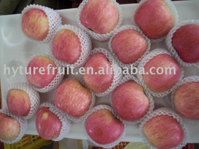 Chinese fresh fuji apple