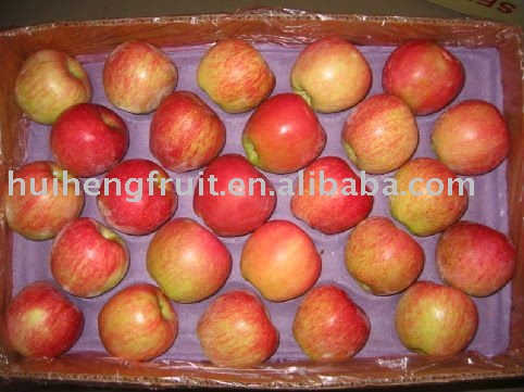 Chinese red star apple