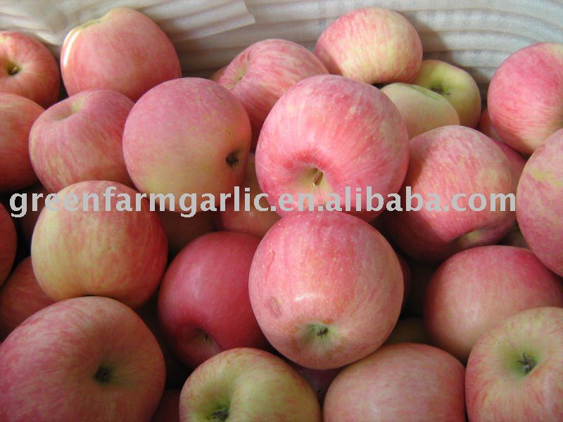 Best Quality Red Fuji Apple