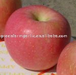 Greenfarm Best Quality Red Fuji Apple