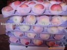 Delicious Fresh Red Star Apple