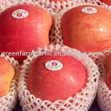 Fresh Juicy  Delicious Red Fuji Apple