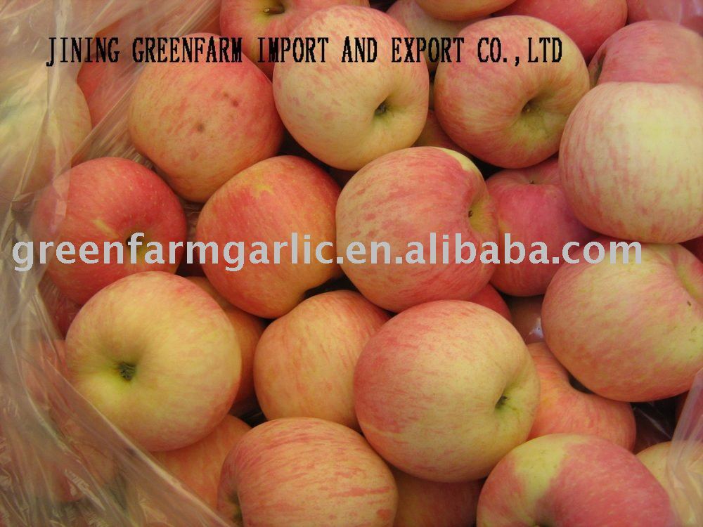 Chinese Fresh Red Fuji Apple,Yantai Fuji