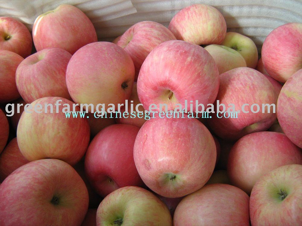 Chinese Fresh Red Fuji Apple,Yantai Fuji Apple,Red Apple