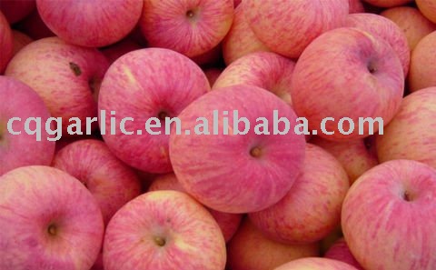 2011 New Fresh Fuji Apple