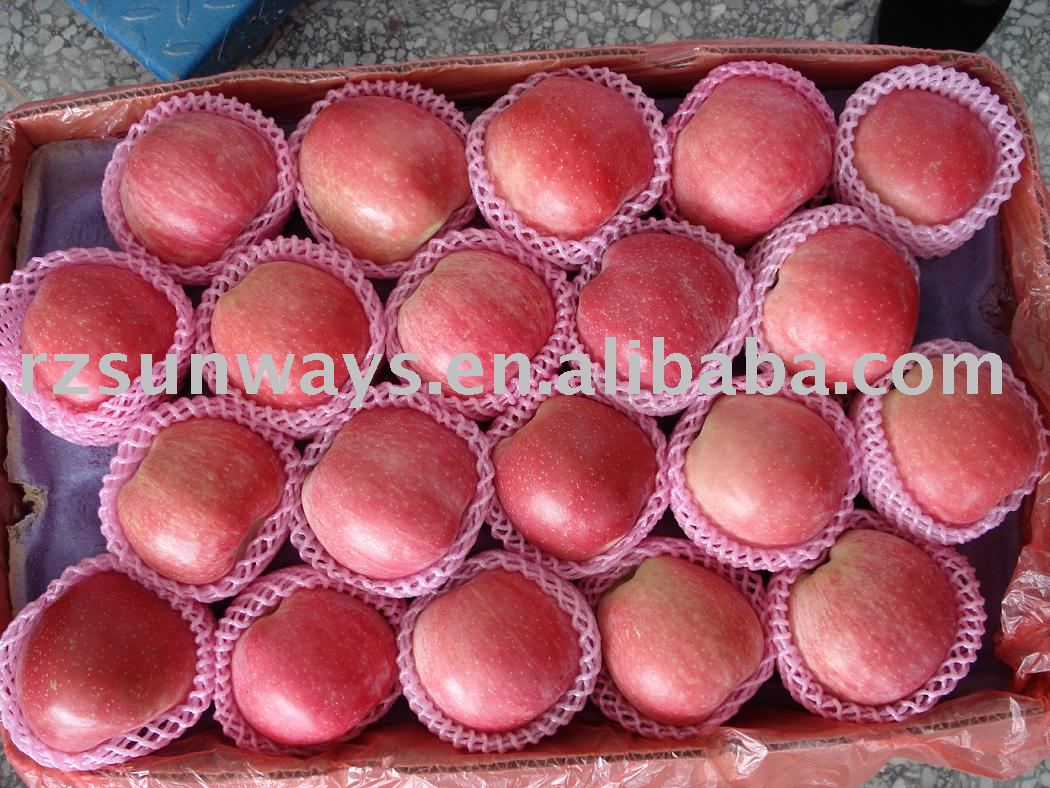  FRESH   RED   STAR  APPLE