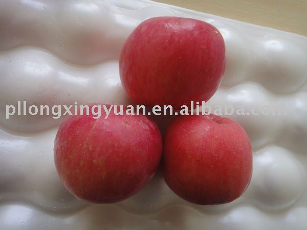 TOP FUJI APPLES