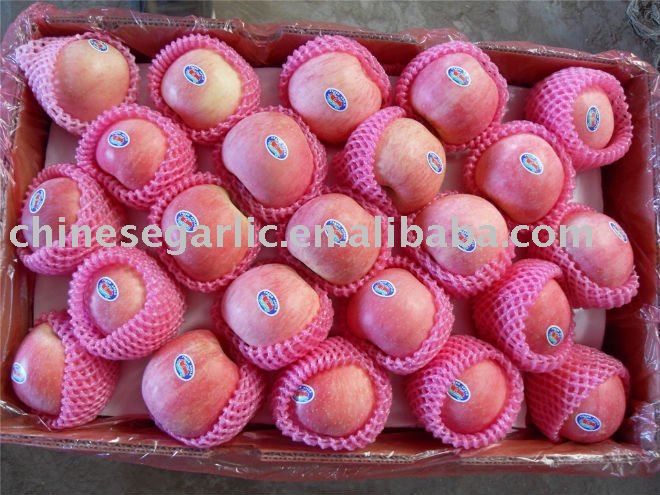 2011 New Fresh Fuji Apple - 100-125# 20kg/CTN