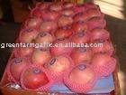 Fresh  2011   Fuji   Apple 