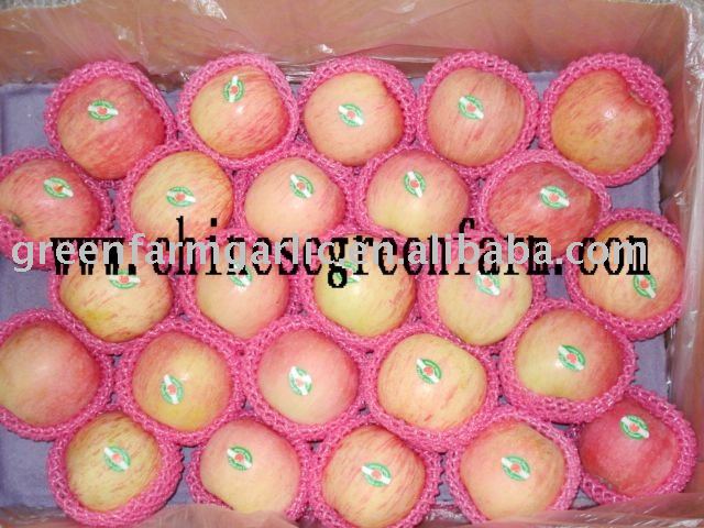 2010 Chinese Fresh Red Fuji Apple,Yantai Fuji Apple