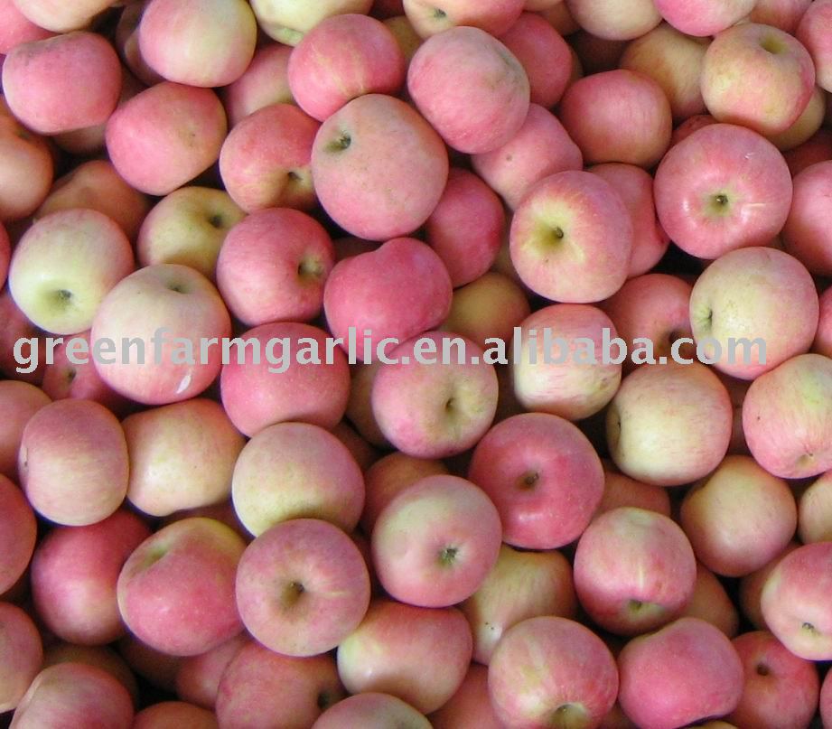 Chinese Fresh Red Fuji Apple