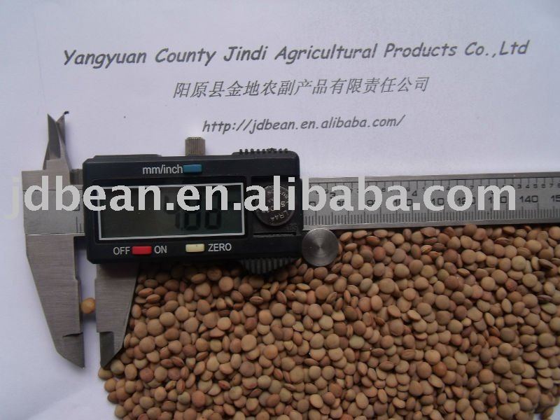 PLACE OF ORIGIN yellow lentils