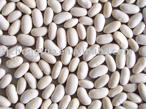 chinese white kidney beans(baishake)
