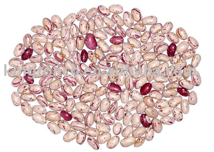 light speckled kidney beans round shape