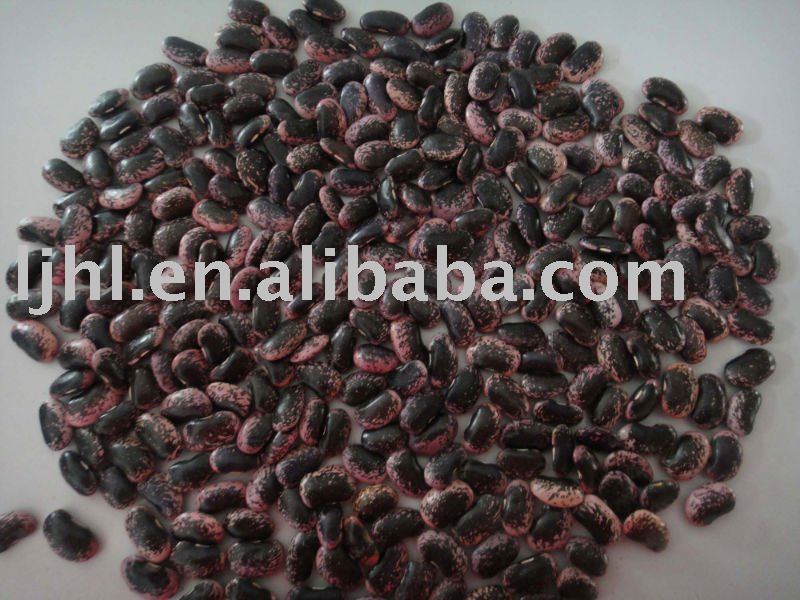 large black speckled kidney beans