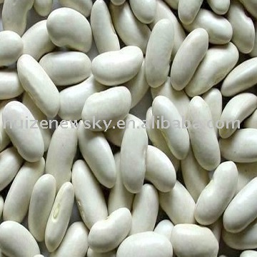 Long Shape White Kidney Beans