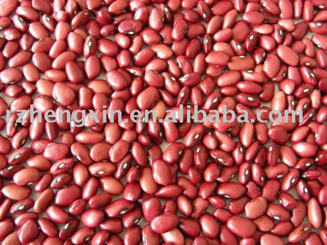 Small red kidney beans