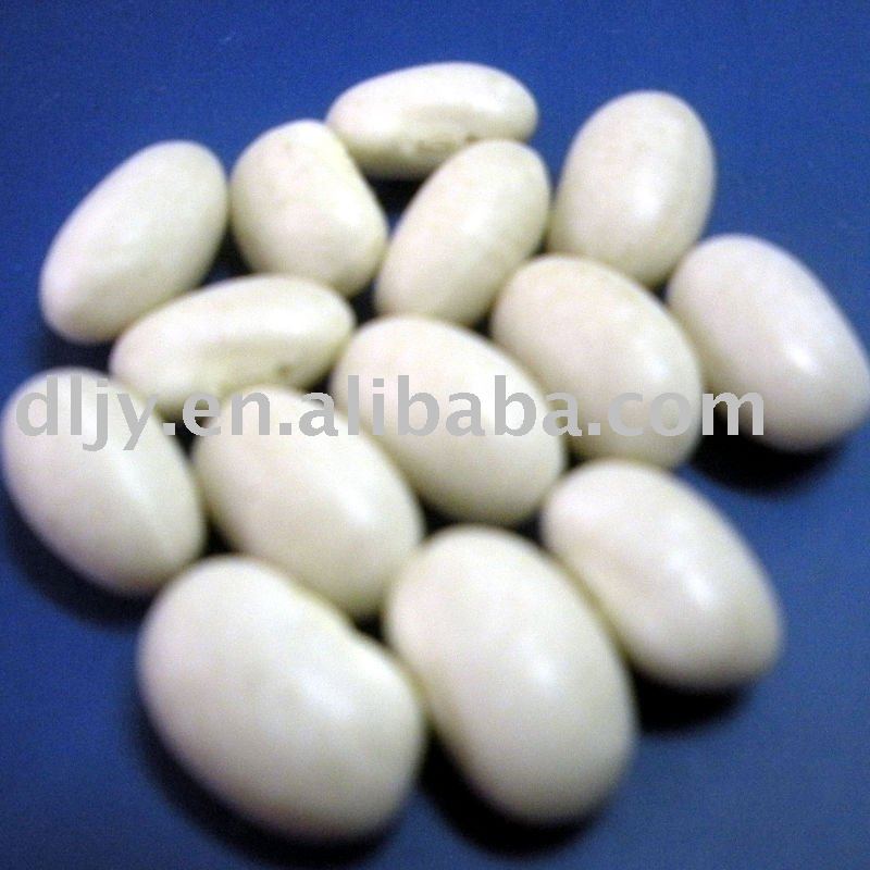 New Crop White Beans With Japanese Type