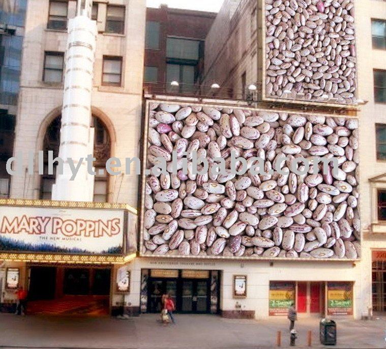light speckled kidney beans