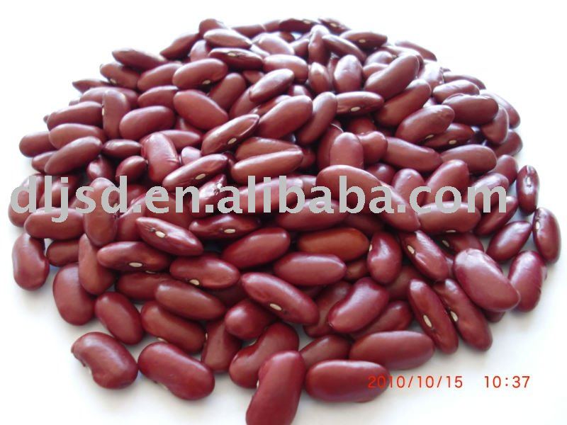 DRY red kidney beans(British type)-4