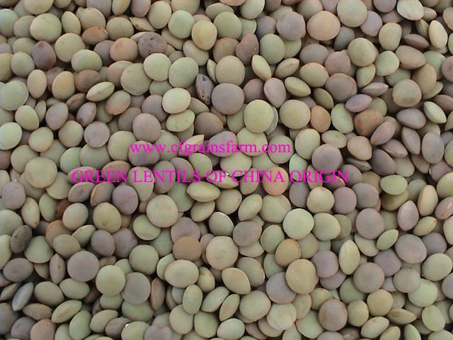 Green Lentil