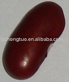 chinese dark red kidney beans