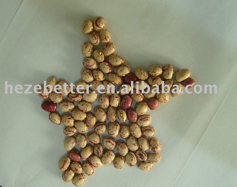 Light Speckled Kidney Beans, Round Shape