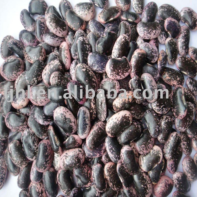 55 grains large black speckled kidney beans