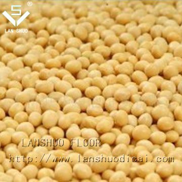  organic   soy   bean s