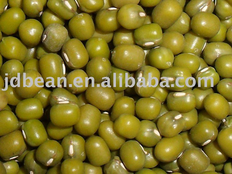 Green mung beans(for supermarket)(2010)