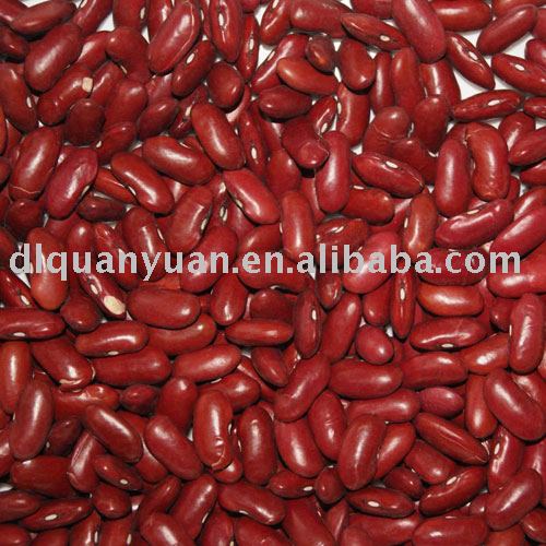 china small red  bean